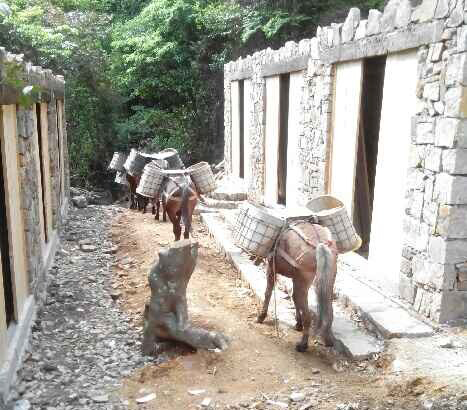 馬隊運輸隊